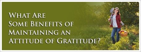 What Are Some Benefits of Maintaining an Attitude of Gratitude?