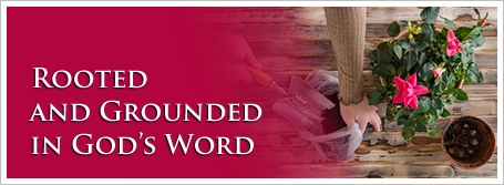 Rooted and Grounded in God’s Word
