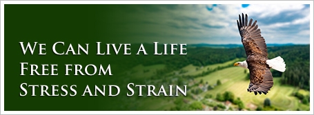 We Can Live a Life Free from Stress and Strain